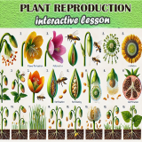 Reproduction in plants with subtitles 